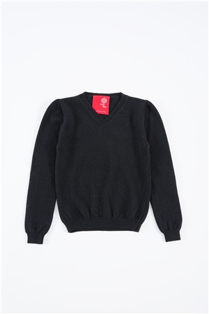 V neck sweater