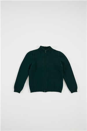 Bomber jacket in wool with zip tartan green