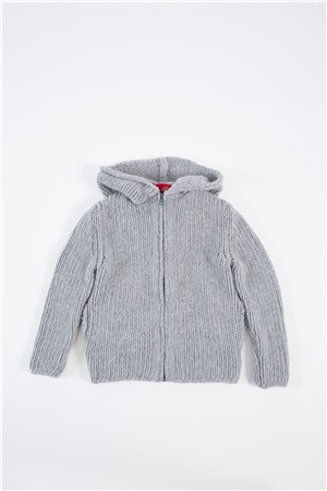 Hooded sweater silver