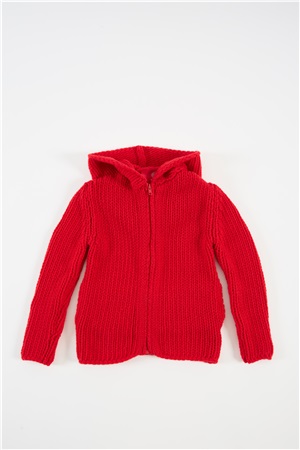 Hooded sweater regal red