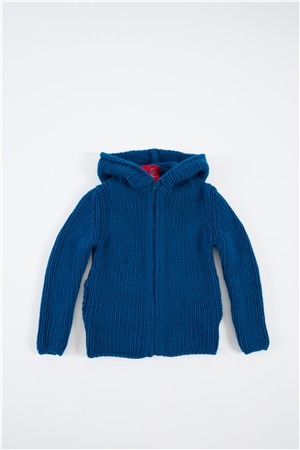Hooded sweater dragorn fly
