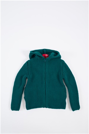 Hooded sweater new forest
