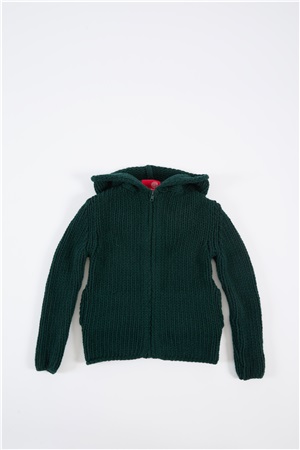 Hooded sweater tartan green