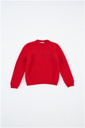 Crew neck long-sleeve regal red fin.5