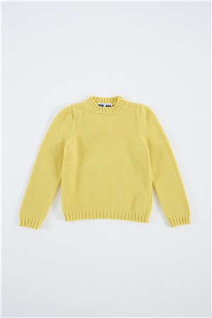 Crew neck long-sleeve grapefruit fin.5