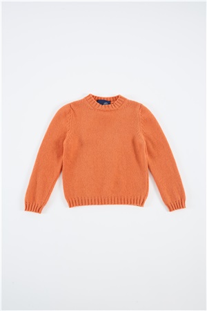 Crew neck long-sleeve gerbera fin. 5