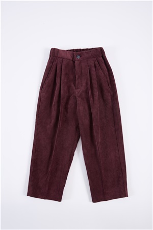 Classic Trousers aubergine